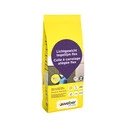 Saint-Gobain Weber Beamix