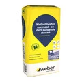 Saint-Gobain Weber Beamix
