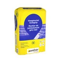 Saint-Gobain Weber Beamix