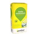 Saint-Gobain Weber Beamix