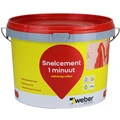 Saint-Gobain Weber Beamix