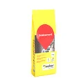 Saint-Gobain Weber Beamix