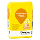 Saint-Gobain Weber Beamix