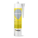Saint-Gobain Weber Beamix