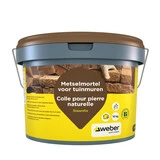 Saint-Gobain Weber Beamix