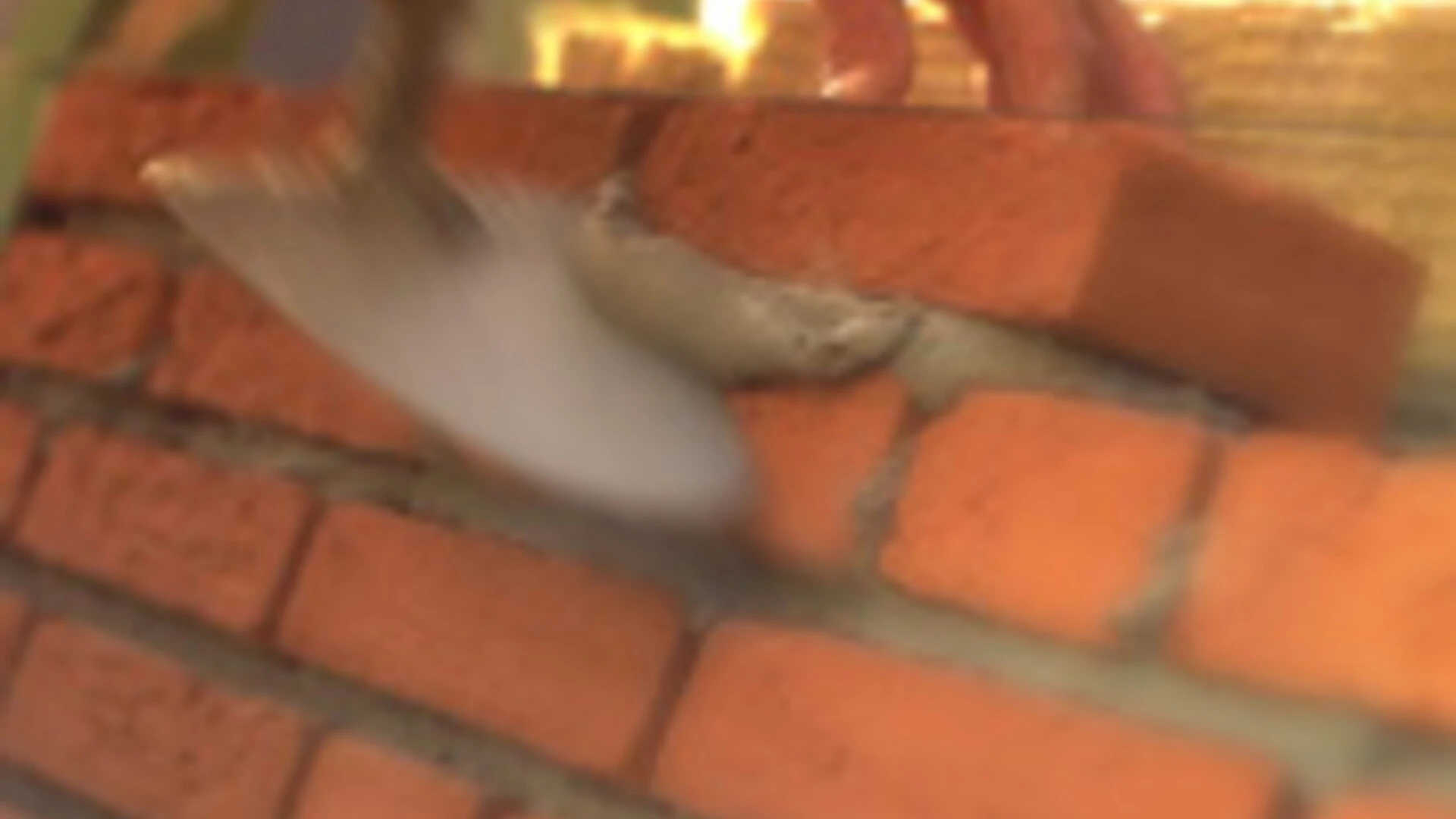 Ruwbouw_metselen_applicatie_0.jpg