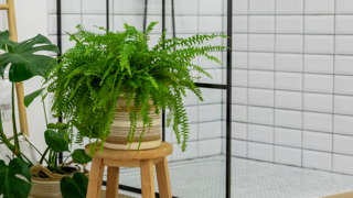 Badkamer betegelen - Saint-Gobain Weber Beamix_1.png Saint-Gobain Weber Beamix